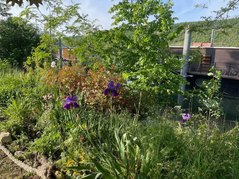 Maison Fleurs De Lys, Climatisee, Wifi Et Parking Privee Gratuit, Lave-Linge, Vernon Giverny Экстерьер фото